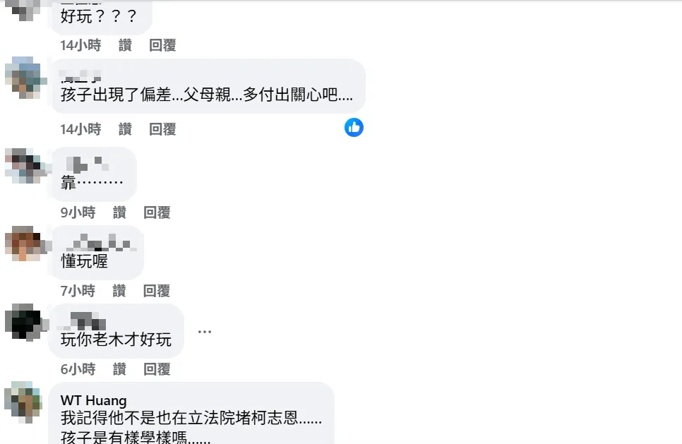 網友留言。（圖取自「台派怎麼輸」臉書粉專）
