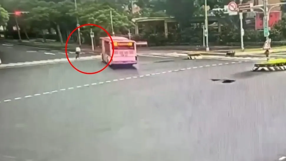 台北地院對一起公車撞死醫師案作出判決,依過失致死罪處肇事司機有期徒刑1年6月,緩刑5年,並須提供120小時義務勞務。(資料照/翻攝畫面)
