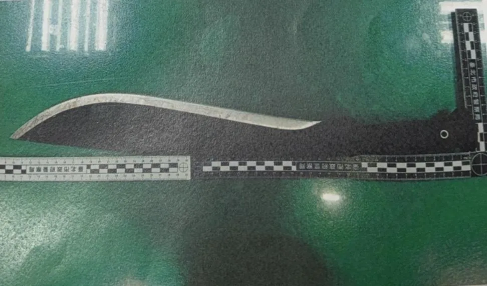男子赤裸上身,清晨在圓山飯店後山持開山刀砍樹,行徑不尋常,警方帶回派出所。(圖/警方提供)