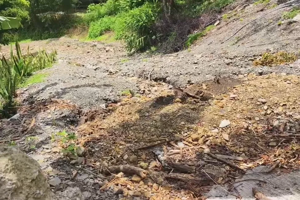許多族人的菜園被巴威風災期間遭到土石掩埋，心血毀於一旦。（圖／中天新聞）