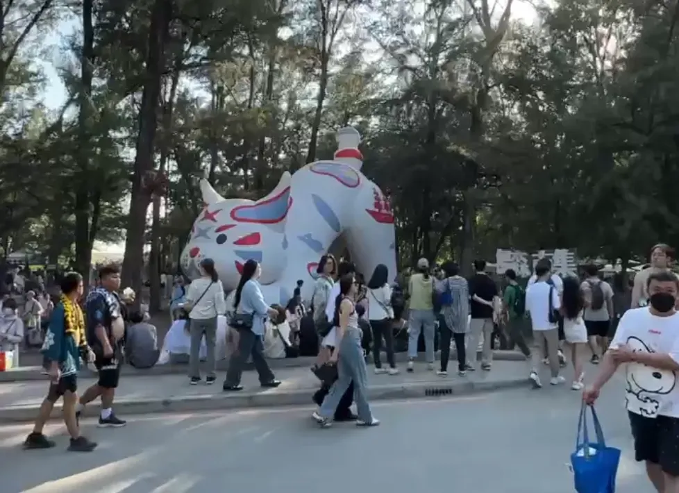 今年漁光島生活節設置「喵喵」藝術裝置，同步推出同款限量周邊小物，有趣又可愛。（圖／中天新聞）