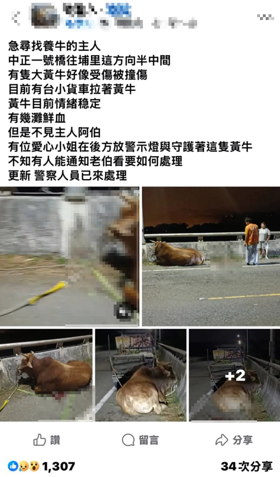 有網友在臉書社團發文表示,有人疑似以小貨車強行拖拉黃牛,導致牛隻腳底受傷流血。(圖/翻攝自臉書社團「埔里人」)