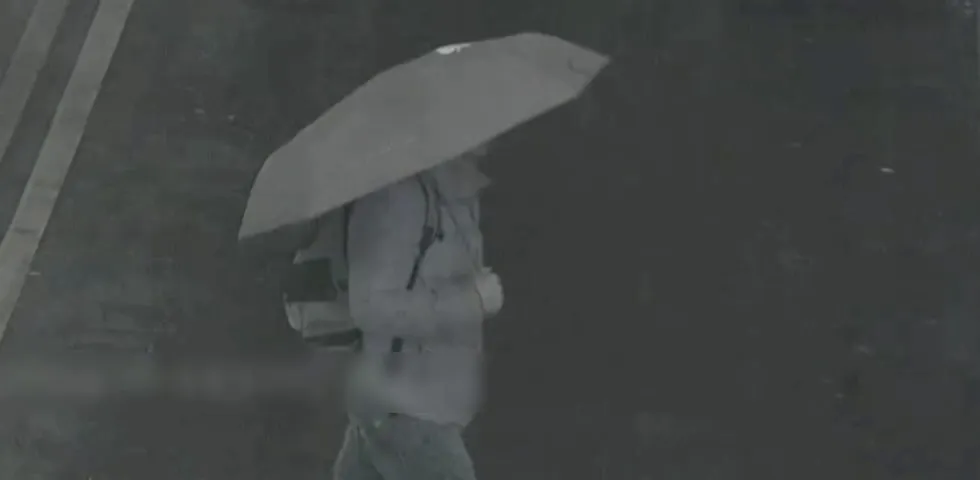 死者遭撞前最後影像。(圖/警方提供)