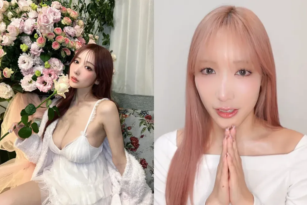 小宵虎南1日宣布引退。（圖／翻攝自小宵虎南IG、YouTube）