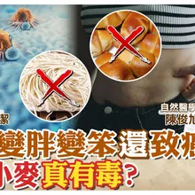 現代小麥早變質!吃麵"血糖飆" 腦袋"變鈍" 還會"致癌"【#小麥的健康筆記】@中天電視CtiTv  @健康我加1CtiHealthyme