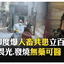 死神來襲? 印度爆"立百病毒"致死率最高達"75%"! 亞洲邊境全戒備 【國際360】20260129@全球大視野Global_Vision