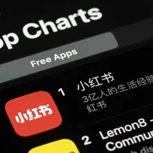 蔣德綱/小紅書 綠大輸