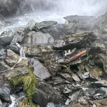 奇蹟生還!主人墜崖送醫 紐西蘭忠犬懸崖邊痴等一週獲救