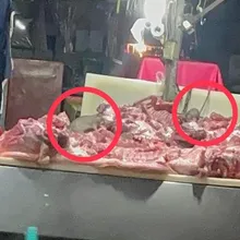 影/鳳山市場豬肉攤爆鼠患!稽查見老鼠四處跑 最重可罰2億