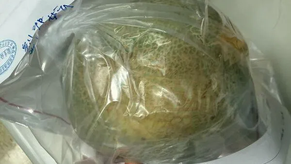 北市蔬果抽驗16件農藥超標 晶華酒店洋香瓜違規