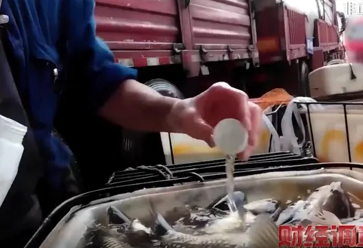 陸驚現恐怖「麻醉魚」!倒神秘藥劑「魚翻肚不動」維持賣相 恐傷人體