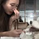 曾為牠飆罵鄰居「臭三八」!薔薔安樂死16歲愛犬栗子 淚別:下輩子要找到我