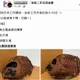 假網拍詐騙鎖定棒球迷賣周邊 22人受害警逮2嫌