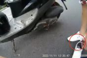 【影】男子騎失竊車遇警盤查　裝鎮定被找到「鞋底一包白白的」