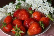 「水果皇后」草莓季節來了！正確清洗方式曝　孕媽咪可多吃「2類人」少吃