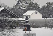 日本大雪已釀13死80多傷！1萬餘戶停電