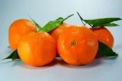 秋冬水果「橘子」具5大好處！醫點名「3族群」不宜多吃當心腹痛