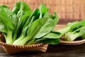 高鈣蔬菜「青江菜」可降罹癌率　減少膽固醇吸收