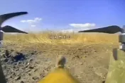 影/第一視角畫面曝！倒楣老鼠爬上俄「自殺無人機」　衝撞烏克蘭陣地喪命