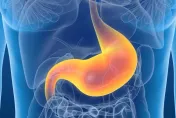 胃癌風險增6倍！「幽門桿菌」是一級致癌物　家人相互傳染為大宗