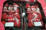 快訊/日本草莓又出事！10批農藥超標1.4噸銷毀　累積7廠遭下「禁輸台令」
