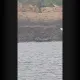 大陸漁民登上馬祖高登島附近無人礁　海巡急協處交檢方查辦中