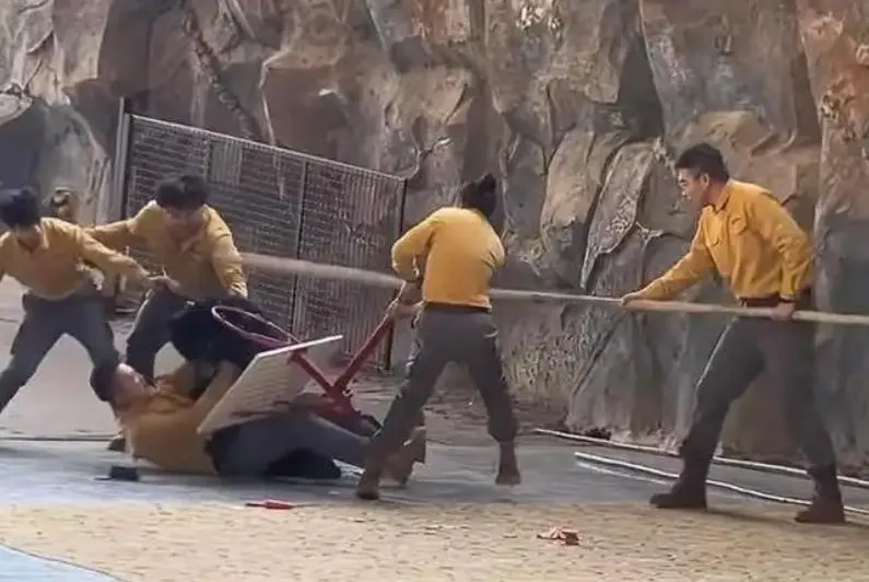 影/驚!杭州動物園黑熊表演突暴走 為搶胡蘿蔔撲襲飼養員