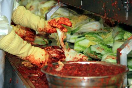 韓國現「泡菜危機」！近一半泡菜廠倒閉　擬砸12.8億建大倉庫應對漲價