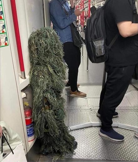 打野戰？港鐵車廂驚現「綠草人」　小朋友萬聖節裝扮網暴紅