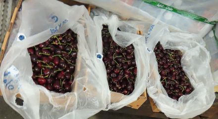 愛吃櫻桃要注意！ 4批智利進口櫻桃驗出8400公斤農藥超標　全數退貨銷毀