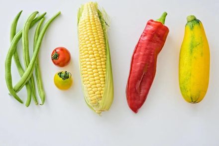 美環保組織公布「15種最乾淨蔬果」營養師授「2招」避免吃到殘留農藥