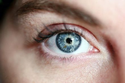 美最新研究！阿茲海默症有徵兆　研究驚人結果：看眼睛就知道