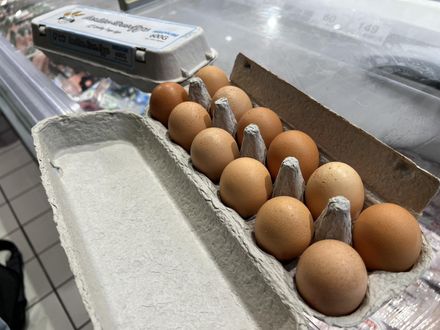 影/北市議員揭農業部「殘缺資料」　曝義美使用巴西蛋
