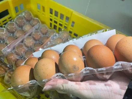 超噁！無良廠商回收泰國發霉蛋製成「蛋液」賣　衛生局開罰15萬