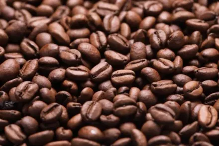愛喝咖啡自己磨豆「保存方式」很重要！專家籲：掌握4原則　3個月內喝掉