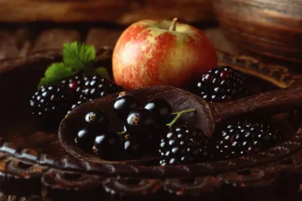 哈佛研究建議多吃「這類食物」!特別是1種水果　有效避免老後衰弱
