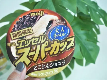 夏日就是要吃冰！日本「究極巧克力冰淇淋」進駐超商、馬卡龍雪糕限時優惠中