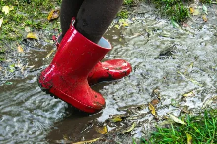 卡努健康/下雨穿雨鞋小心「5種腳疾」上身！ 腳發紅、趾甲變厚恐是黴菌感染
