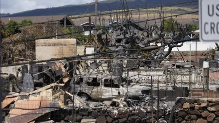 夏威夷野火/3律所調查起火原因　疑「電力公司設備故障」釀93死悲劇