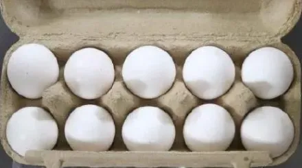 快訊/今年已出包6批！53噸「土耳其雞蛋」含禁用農藥「硝基呋喃」全退運銷毀