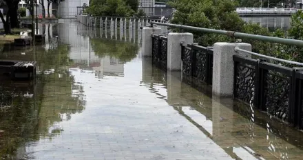 影/颱風還沒來！台南安平街道「滿潮淹水」　專家示警「防漲潮」：恐成生活常態
