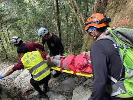 3天2起！拉拉山巨木群79歲嬤慘摔　「頭破血流」急送醫