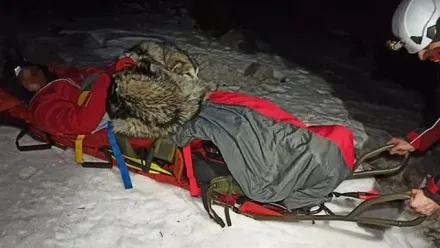 男子墜崖斷腿受困雪山13小時　忠犬緊靠身邊為他取暖保命