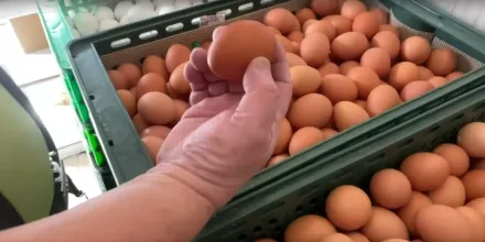 天氣熱影響銷量！雞蛋每斤降2元　週四起批發價47元