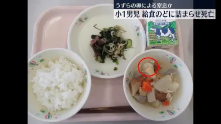 關東煮「鳥蛋」噎死小一男童！日本官員急下令停用　醫提醒：小心圓形食材