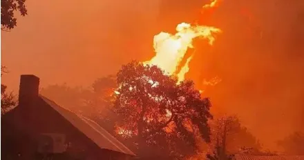 影/澳洲爆發近年最嚴重森林大火　3萬民眾被迫撤離