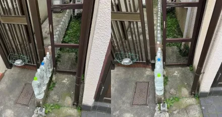 日本住宅門縫放滿礦泉水瓶！　釣出專業網友解釋：避免野貓靠近