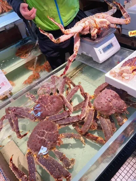 遊北海道吃活體帝王蟹遭「掉包」！遊客查網路評價驚：是慣犯