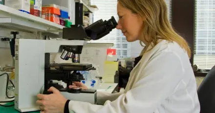 不是化療！　科學家發現「SLFN11基因」：全新癌細胞死亡方式